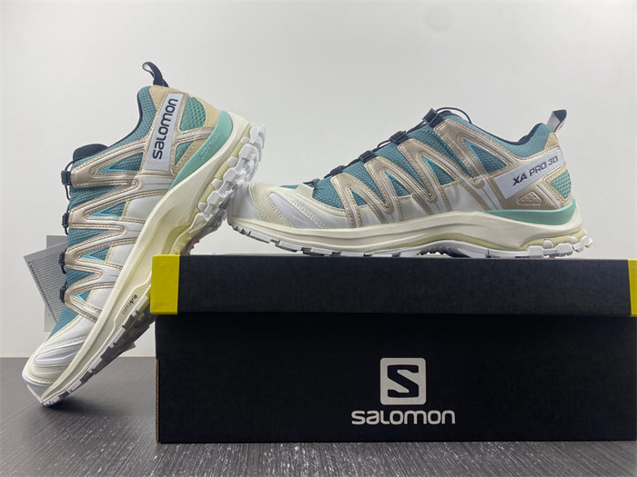 Salomon XT-6 413148