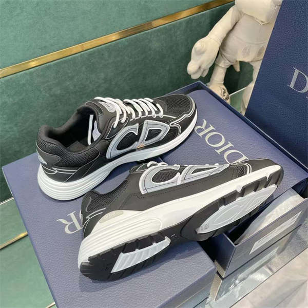 DIOR B30