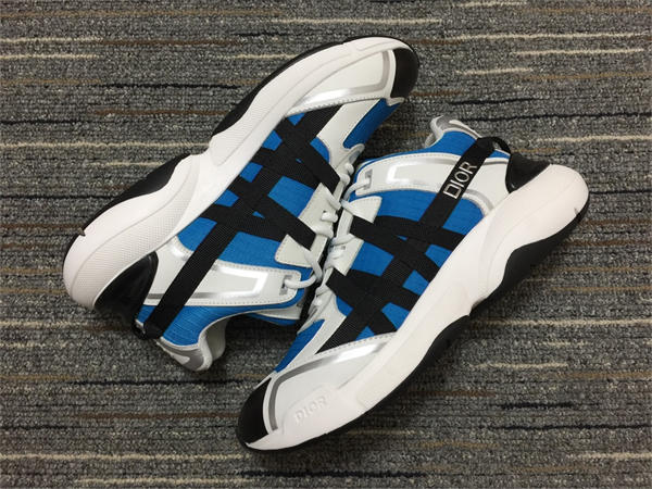 Dior Sneaker 001