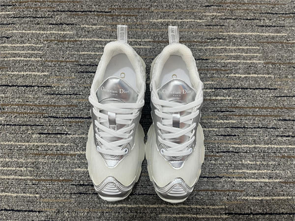 Dior Sneaker 010