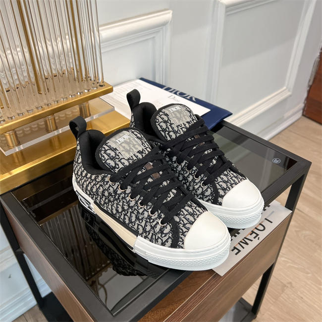 Dior B23 Low Top