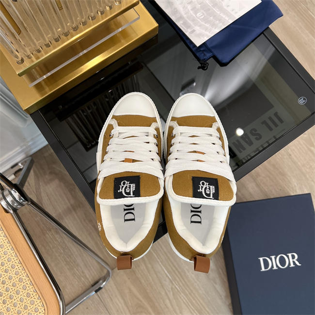 Dior B23 Low Top