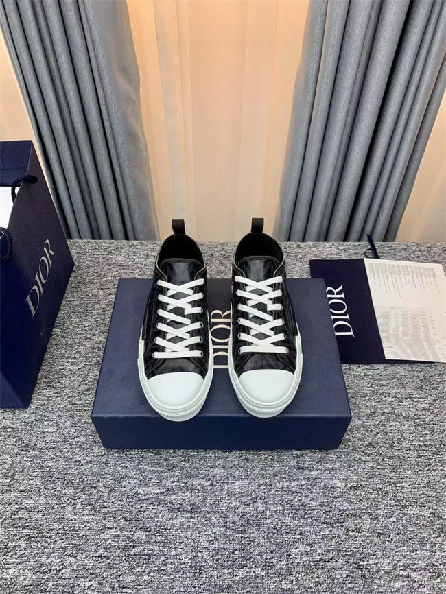 Dior B23 Low Top