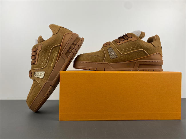 Louis Vuitton LV trainer x2 110