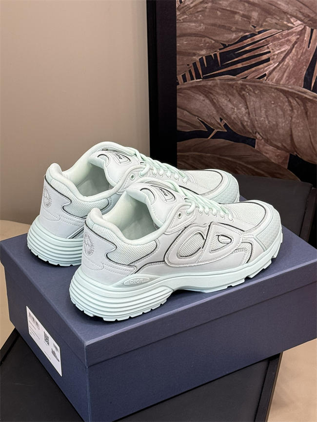 Dior B30 Sneaker D1510