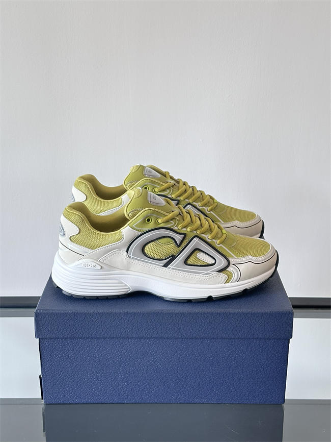 Dior B30 Sneaker D1012