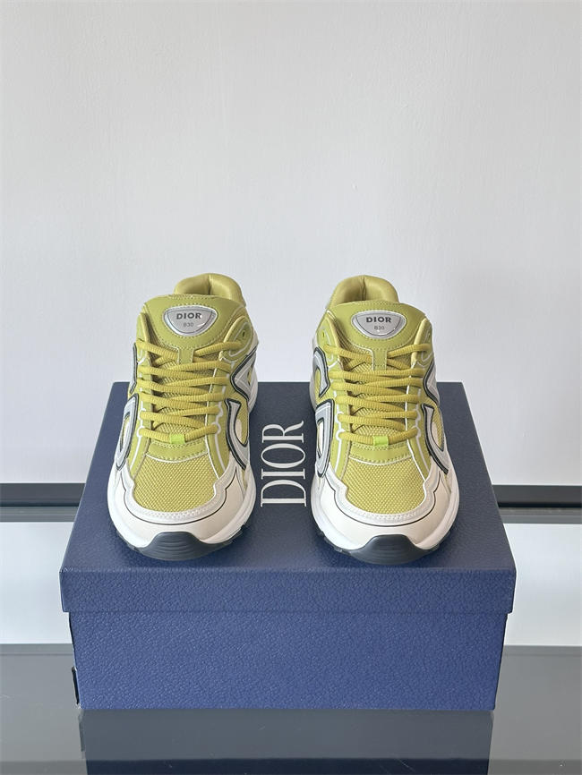 Dior B30 Sneaker D1012