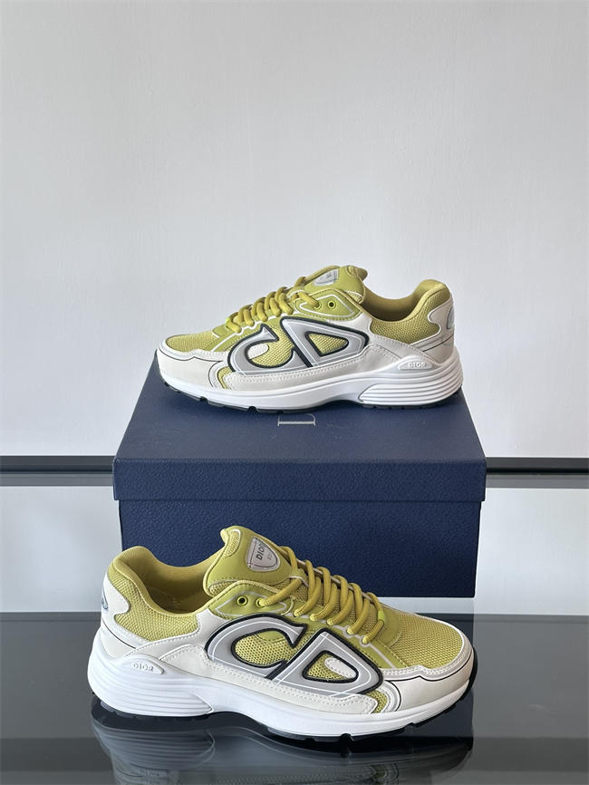 Dior B30 Sneaker D1012