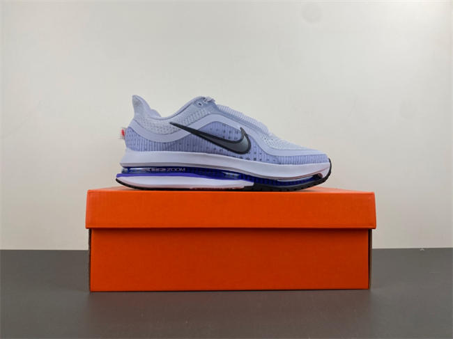 Nike Pegasus Premium