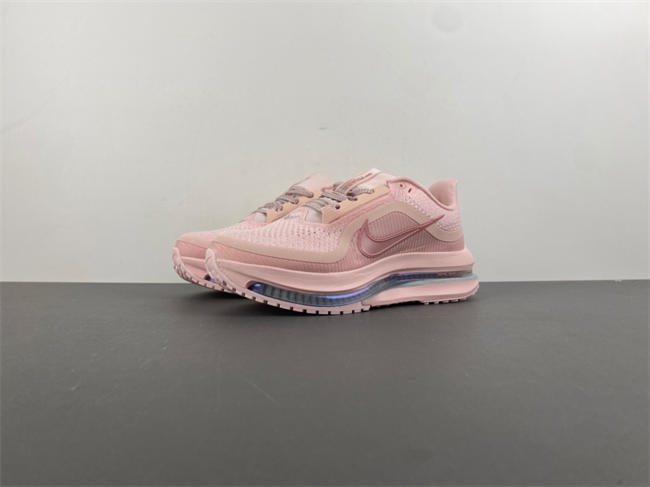 Wmns Pegasus Premium