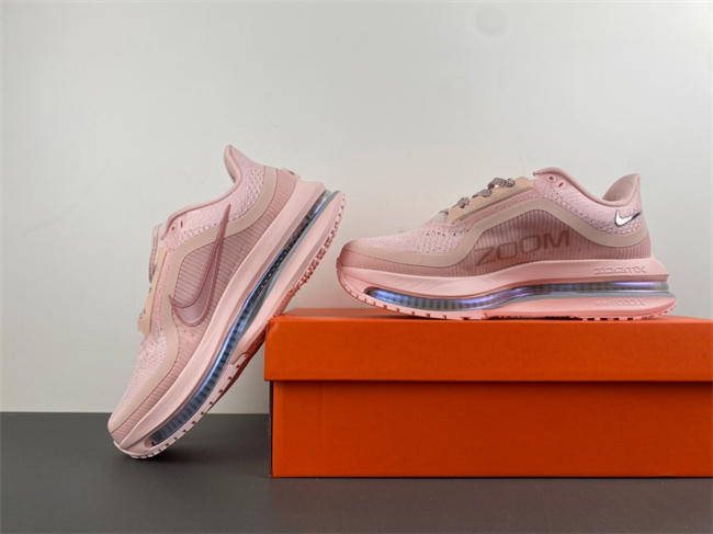 Wmns Pegasus Premium