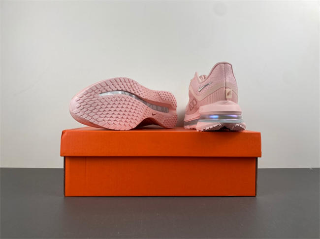 Wmns Pegasus Premium