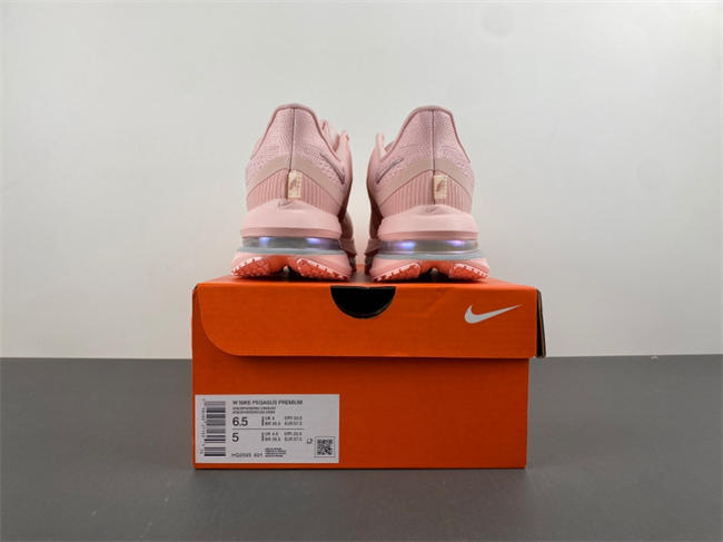 Wmns Pegasus Premium