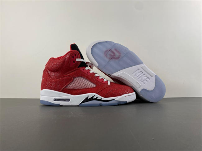 Air Jordan 5 Style