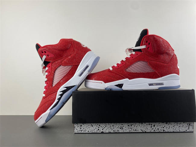 Air Jordan 5 Style