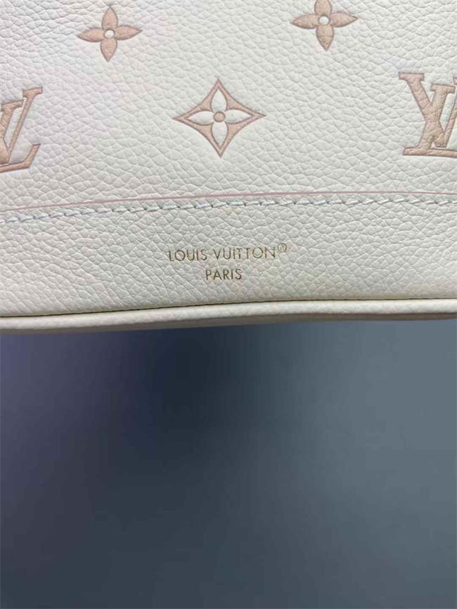 LV BAG